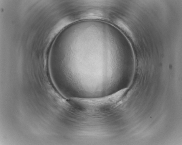 X0000088841419200706071409