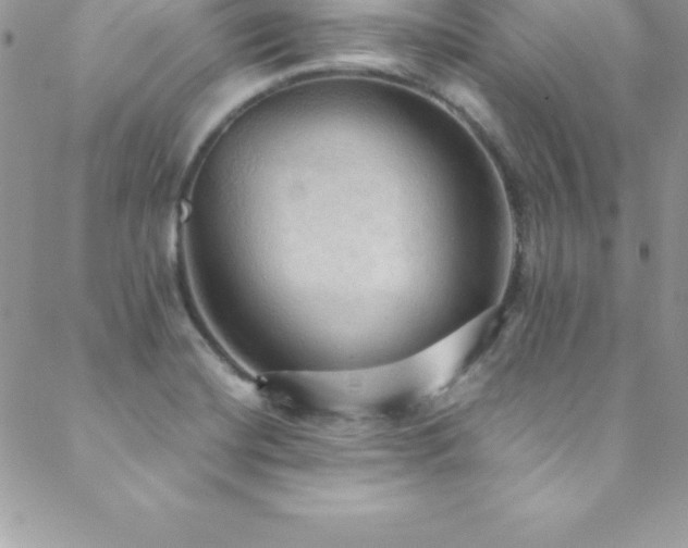 X0000088841420200706071409