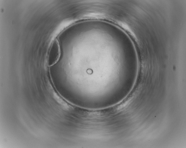 X0000088841421200706071409