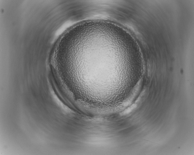 X0000088841422200706071409