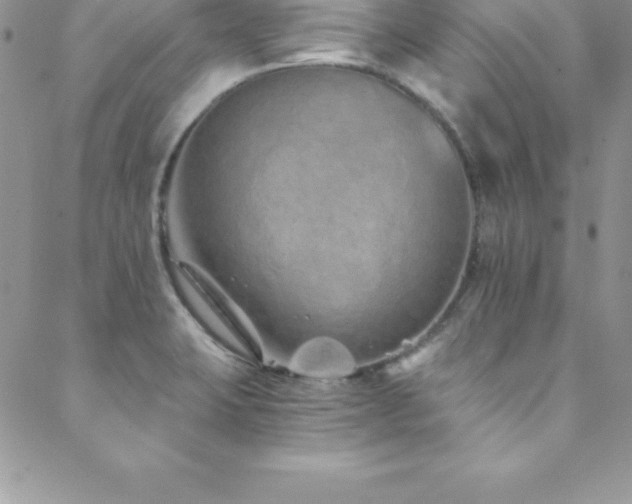 X0000088841423200706071409