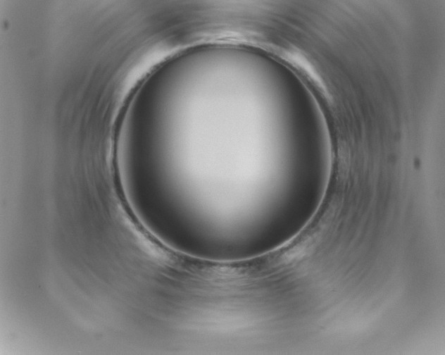 X0000088841424200706071409