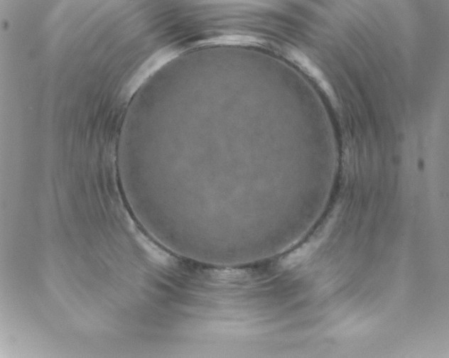 X0000088841425200706071409