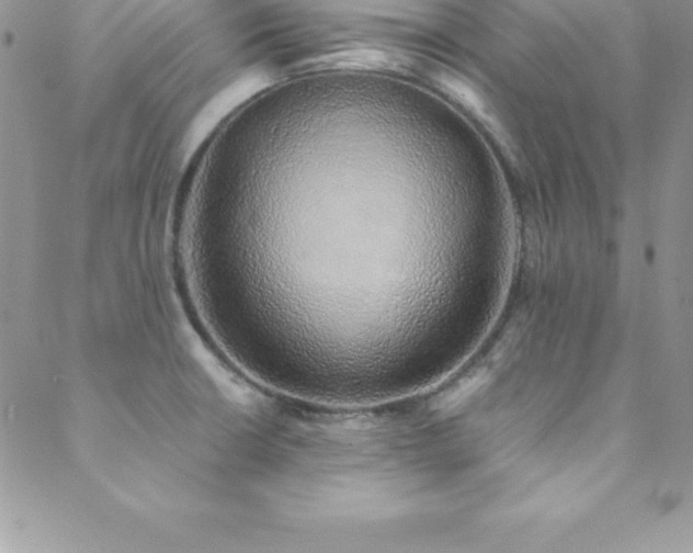 X0000088841426200706071409