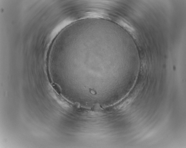 X0000088841427200706071409