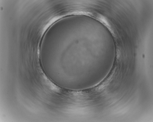 X0000088841428200706071409