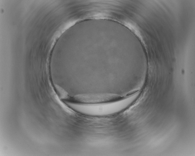 X0000088841429200706071409