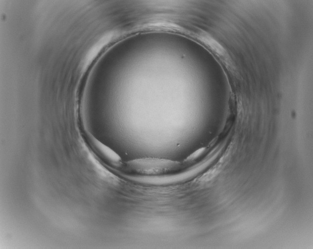 X0000088841430200706071409