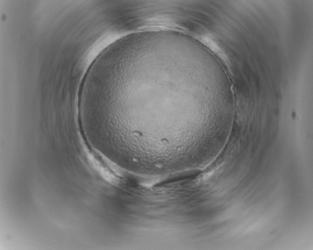 X0000088841431200706071409