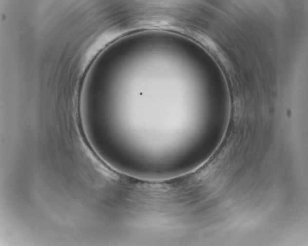 X0000088841432200706071409