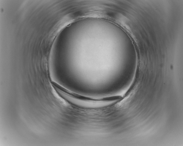 X0000088841433200706071409