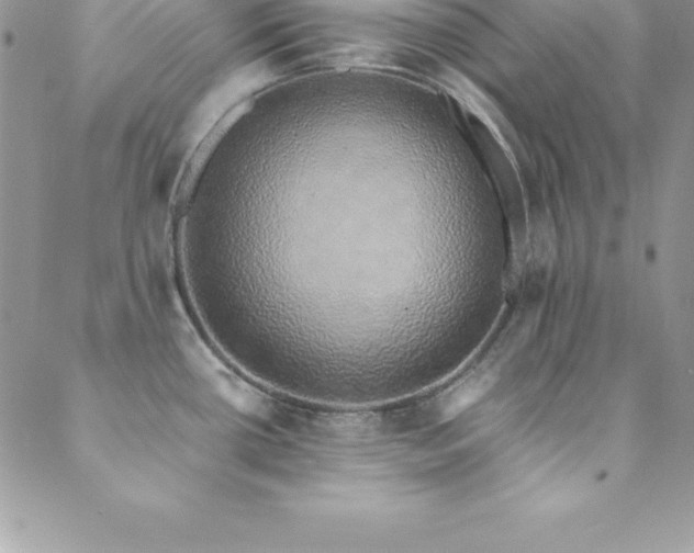 X0000088841434200706071409