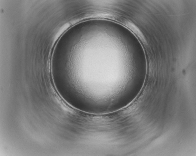 X0000088841436200706071409