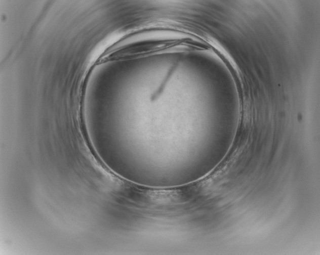 X0000088841437200706071409