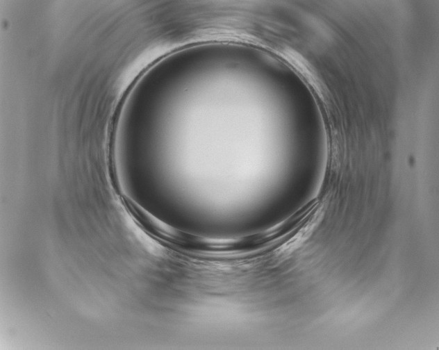 X0000088841438200706071409