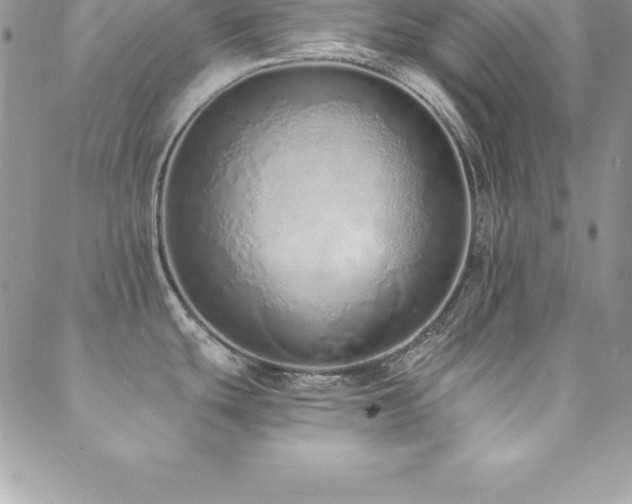 X0000088841439200706071409