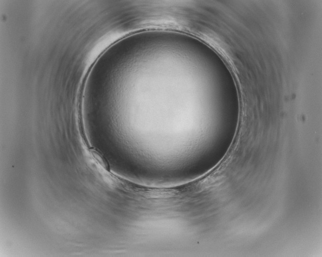 X0000088841440200706071409