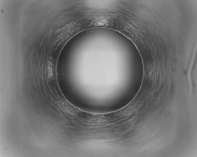 X0000088841442200706071408