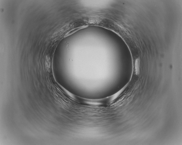 X0000088841443200706071408