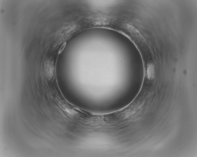 X0000088841444200706071408