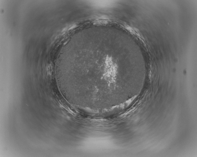 X0000088841445200706071408