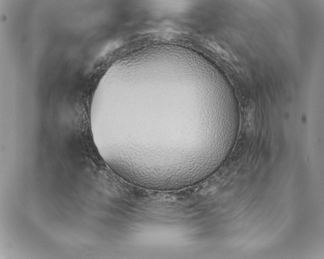 X0000088841446200706071408