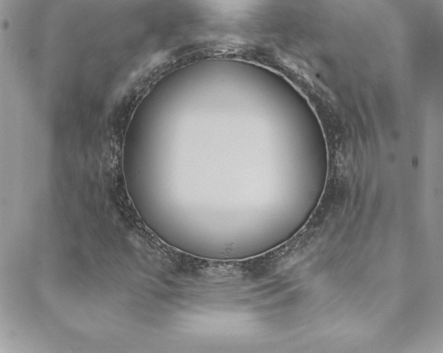 X0000088841447200706071408