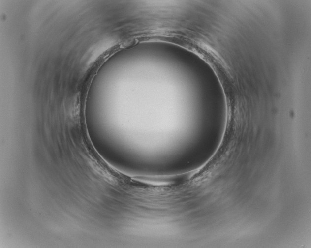 X0000088841450200706071408