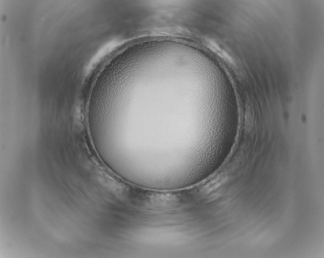 X0000088841454200706071408