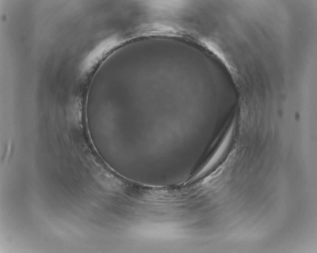 X0000088841455200706071408