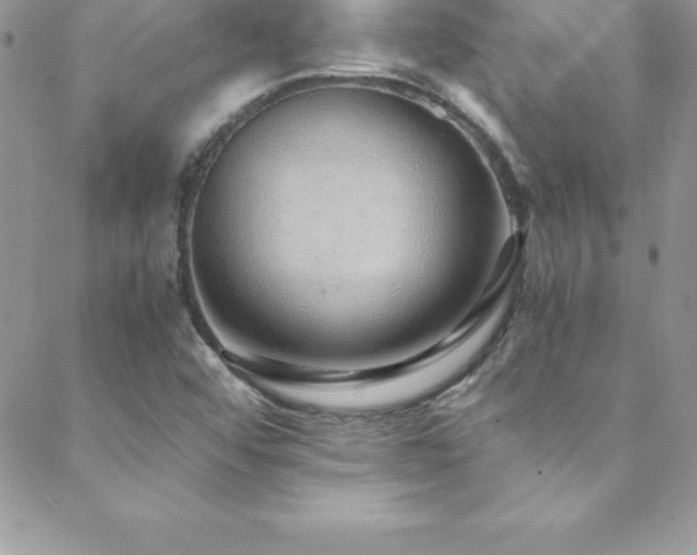 X0000088841456200706071408