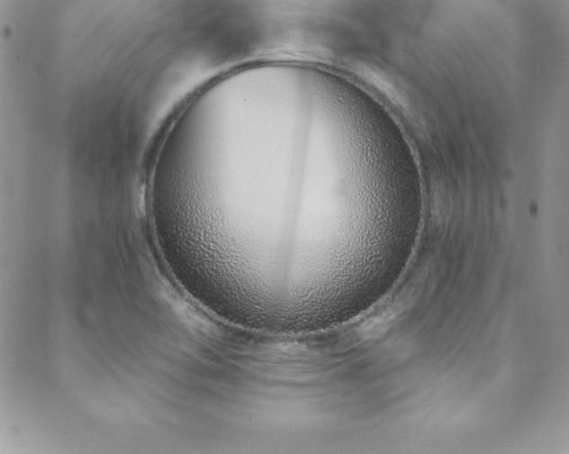 X0000088841462200706071408