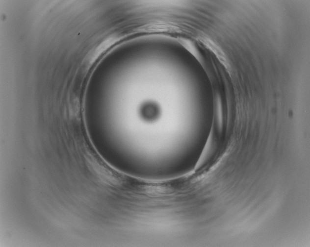 X0000088841465200706071408