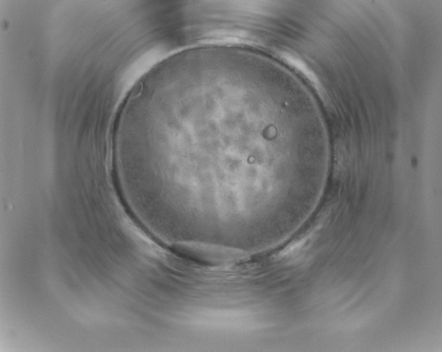 X0000088841467200706071408