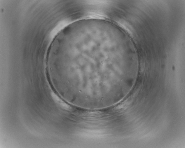 X0000088841471200706071408