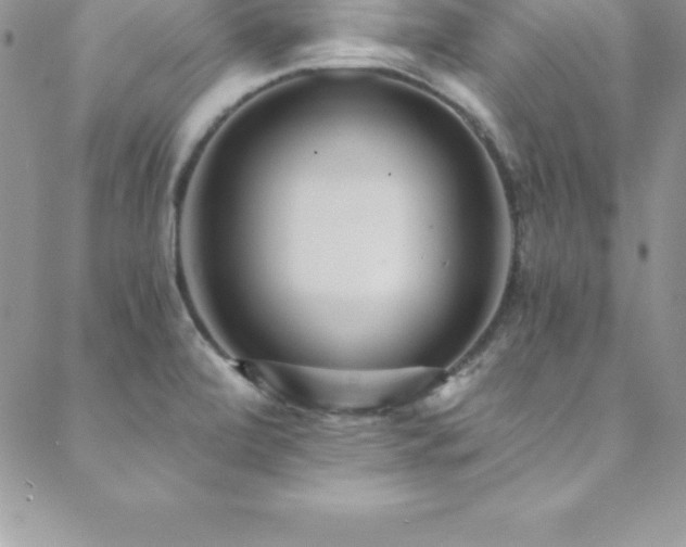 X0000088841472200706071408