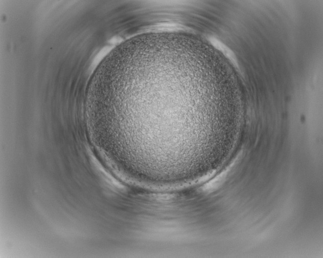 X0000088841473200706071408