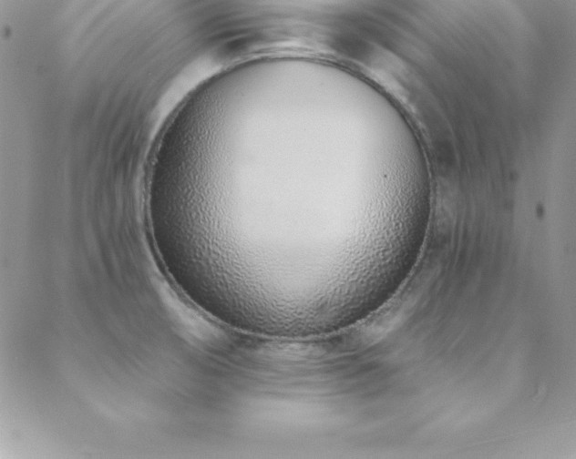 X0000088841474200706071408