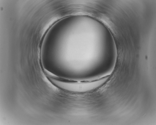 X0000088841476200706071408