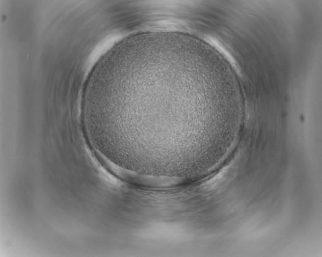 X0000088841477200706071408