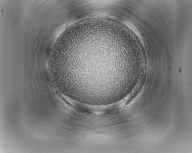 X0000088841481200706071408