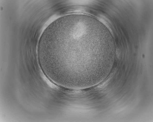 X0000088841482200706071408