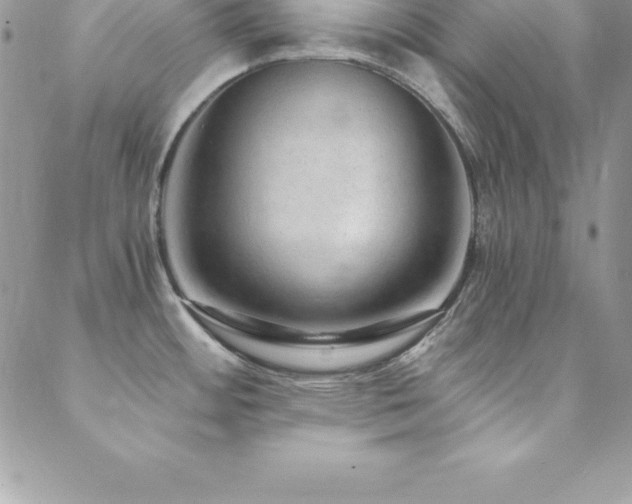 X0000088841484200706071408