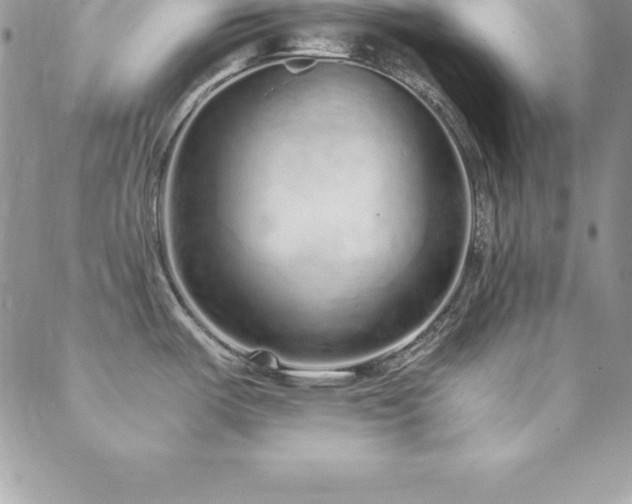 X0000088841487200706071407