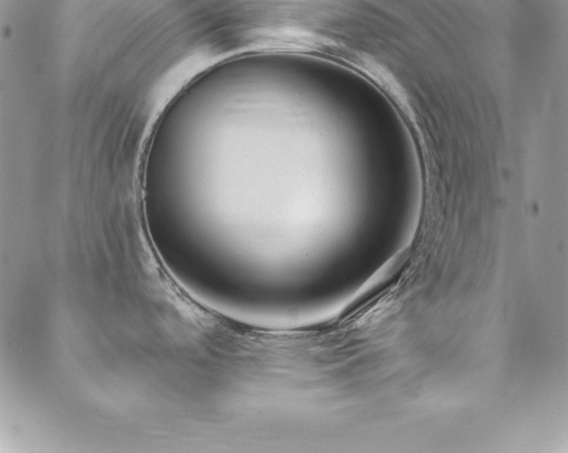 X0000088841488200706071407
