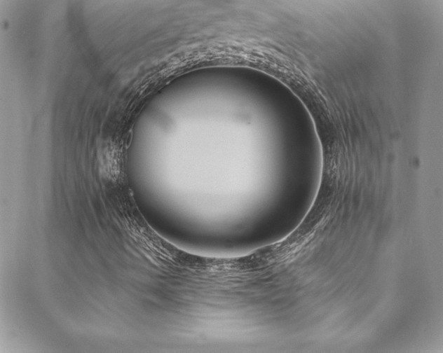 X0000088841490200706071407
