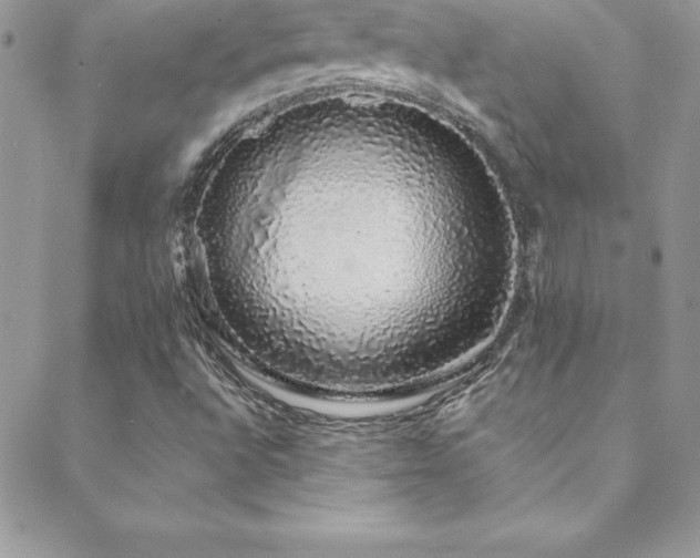X0000088841496200706071407