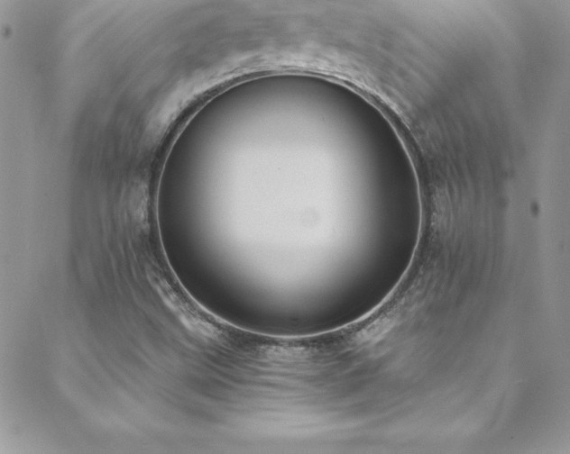 X0000088841499200706071407
