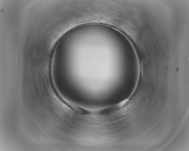 X0000088841500200706071407