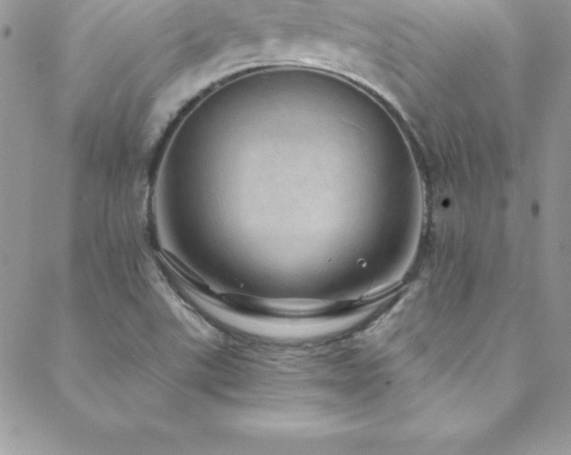 X0000088841507200706071407